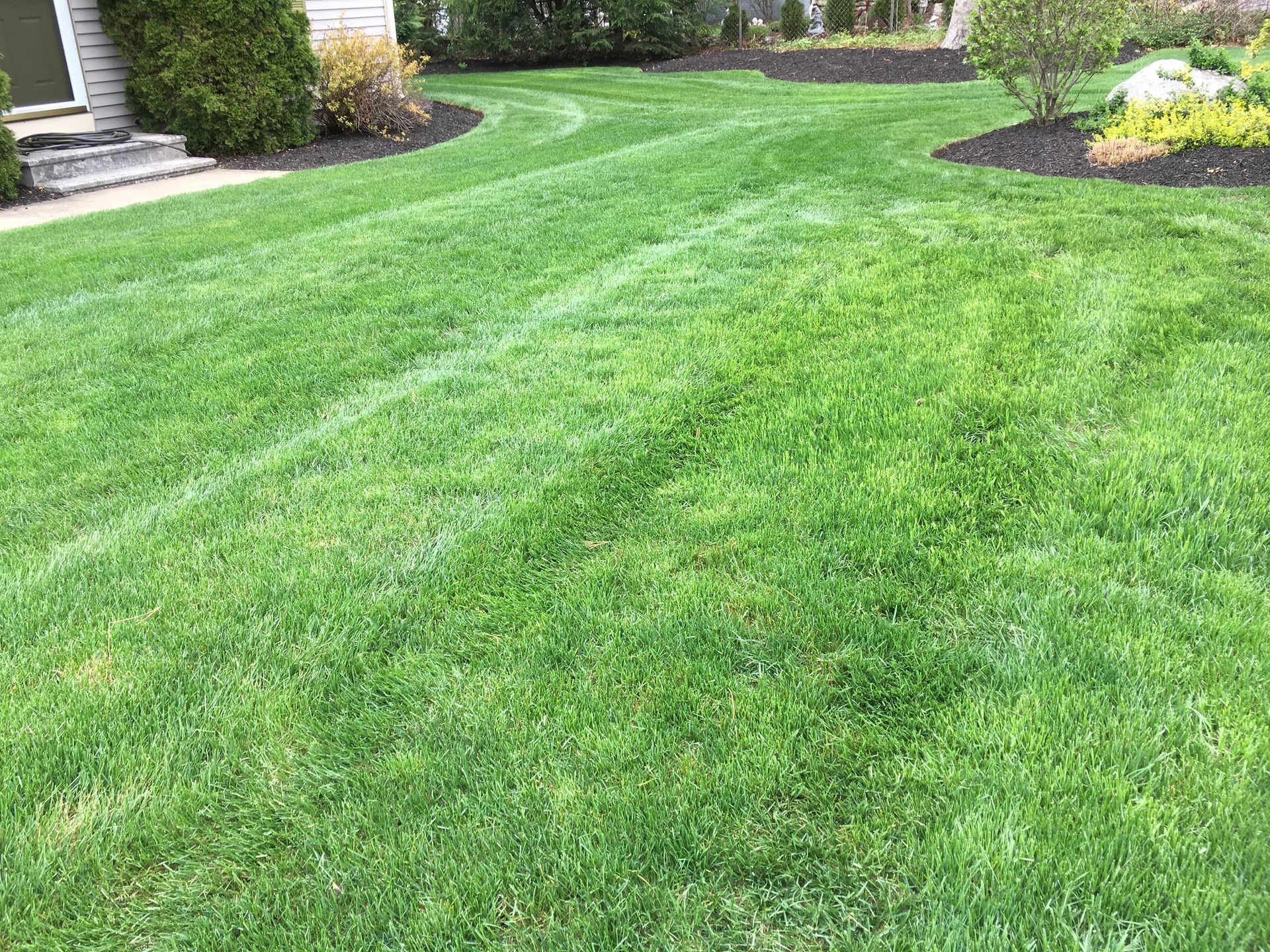 A teal lawnmower, a black rake, and a yellow sprinkler sit on a lush green lawn next to a bag of white fertilizer.