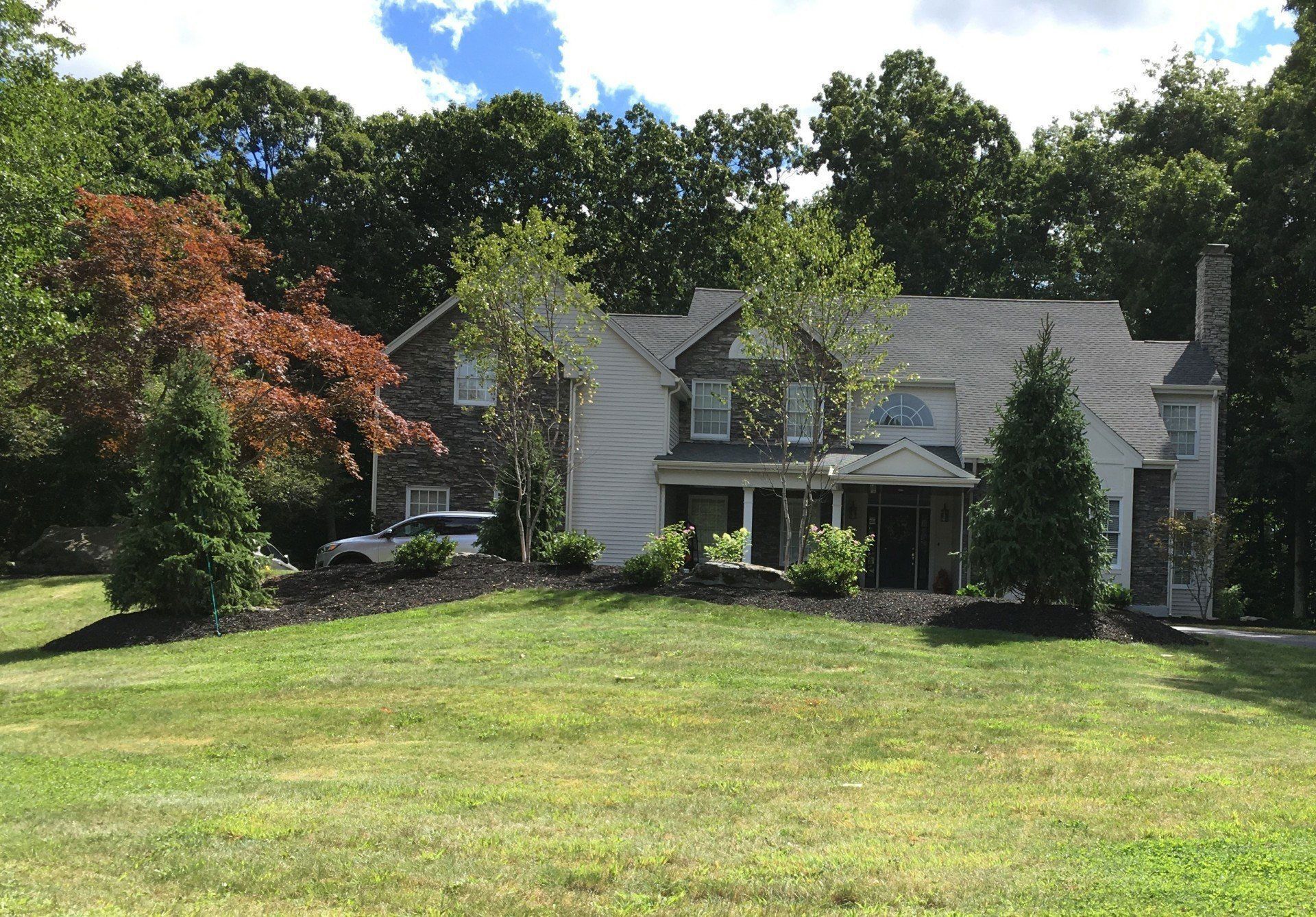 A blooming pink lilac bush behind a stone retaining wall in front of a house, next to a white birch tree and green grass.
