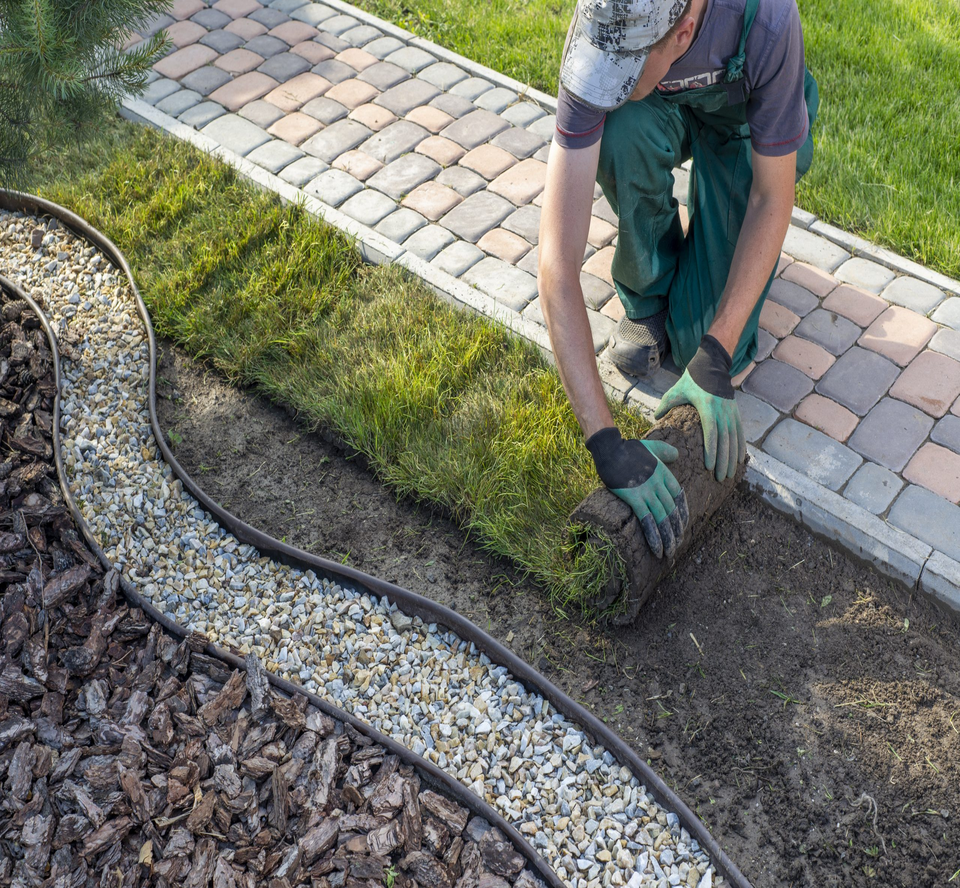 Gardener rolls out fresh sod beside a paved walkway, a gravel border, and a wood chip area.