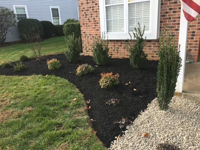 Front yard landscaping with fresh black mulch, various green shrubs, and a gravel border.