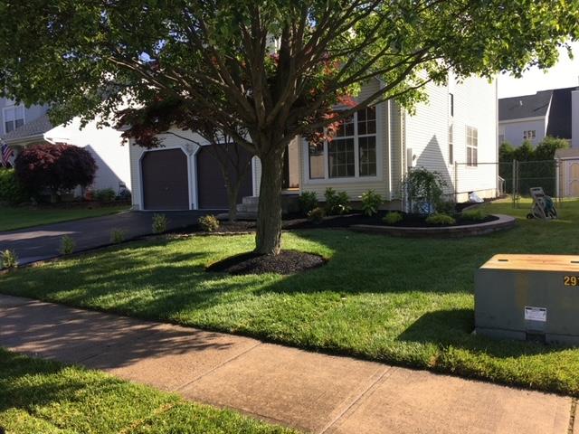 A well-manicured suburban house with a lush lawn, a tree, and a driveway on a sunny day.