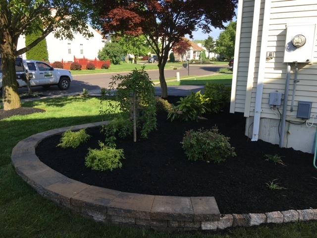 Curved flower bed with dark mulch and various green plants against a building with a tree in a sunny yard.
