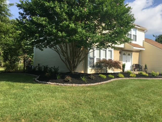 House with lush lawn, flower bed with dark mulch, and large tree in front.