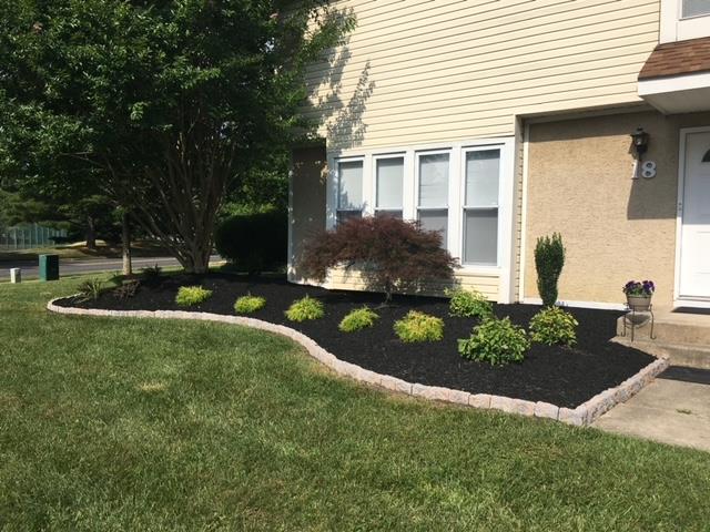 Landscaped front yard with a beige house, lawn, black mulch, and small green plants.