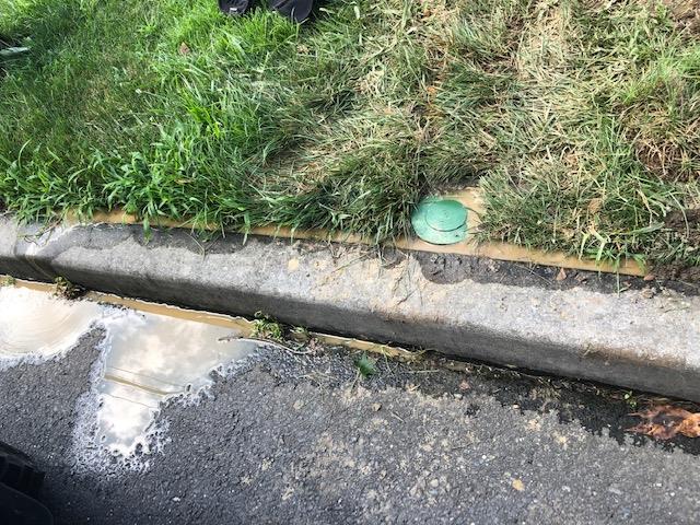 Concrete curb and grassy area with a green sprinkler cover next to asphalt.