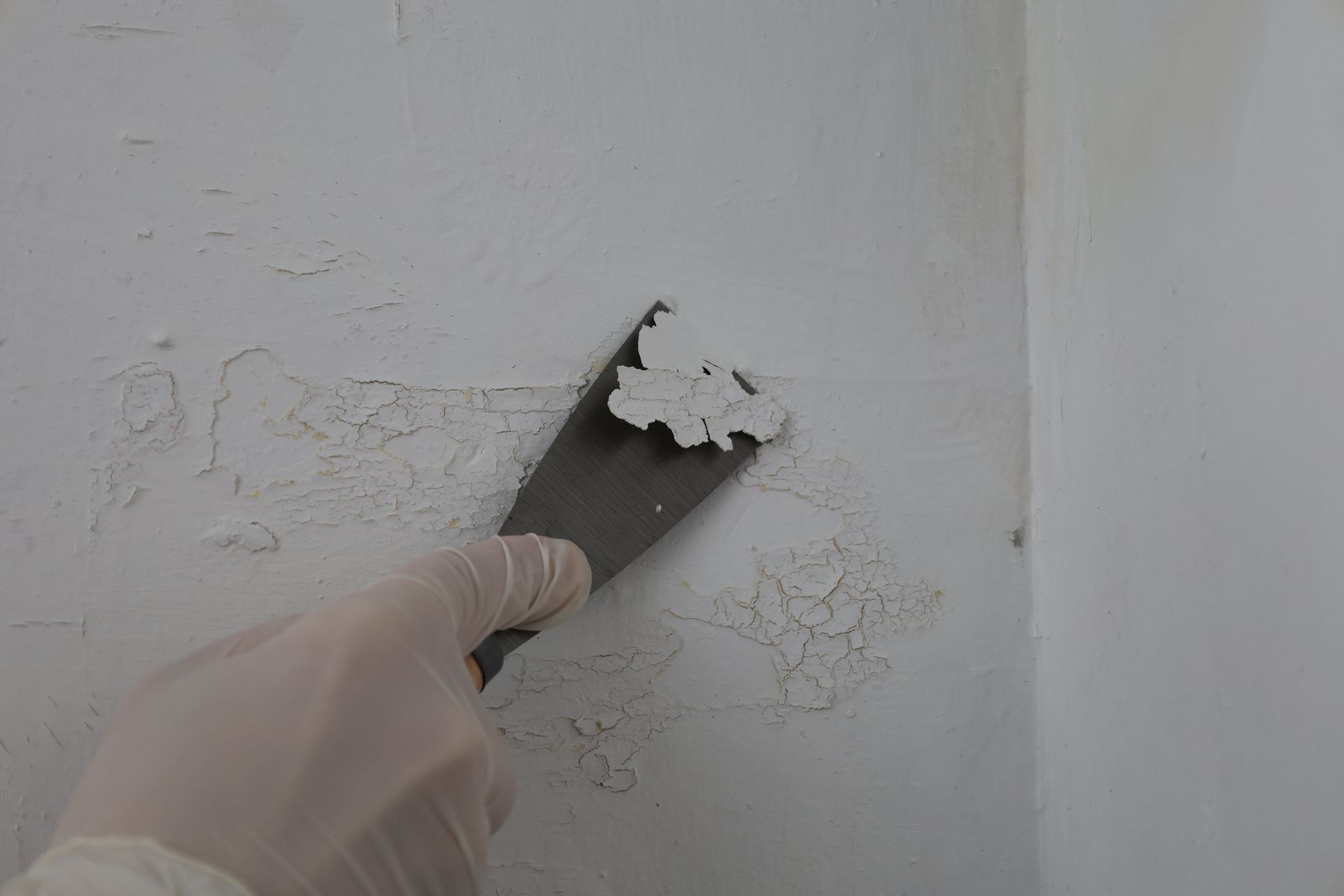 A gloved hand removes old paint from a wall with a spatula. A gloved hand removes old paint from a wall with a spatula.