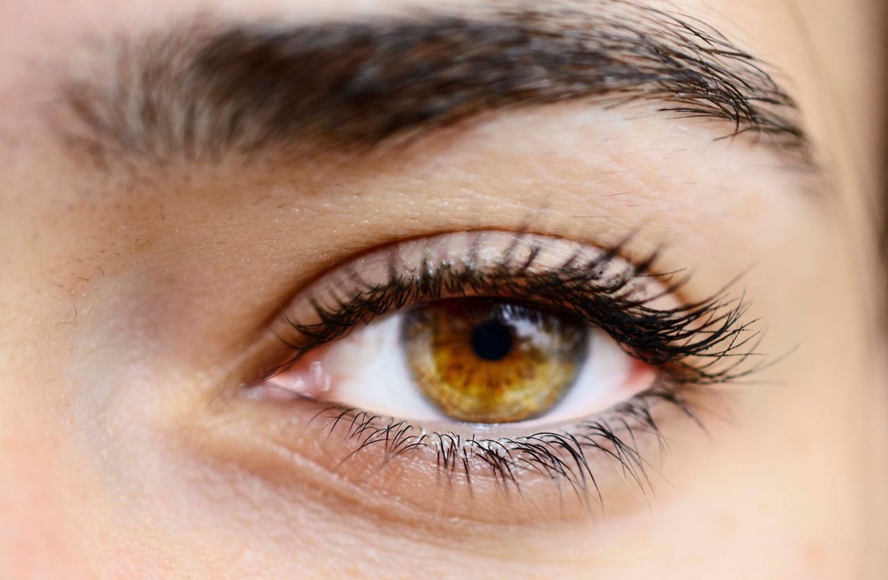 Shaped eyebrow after an eyebrow wax and tint in Seattle