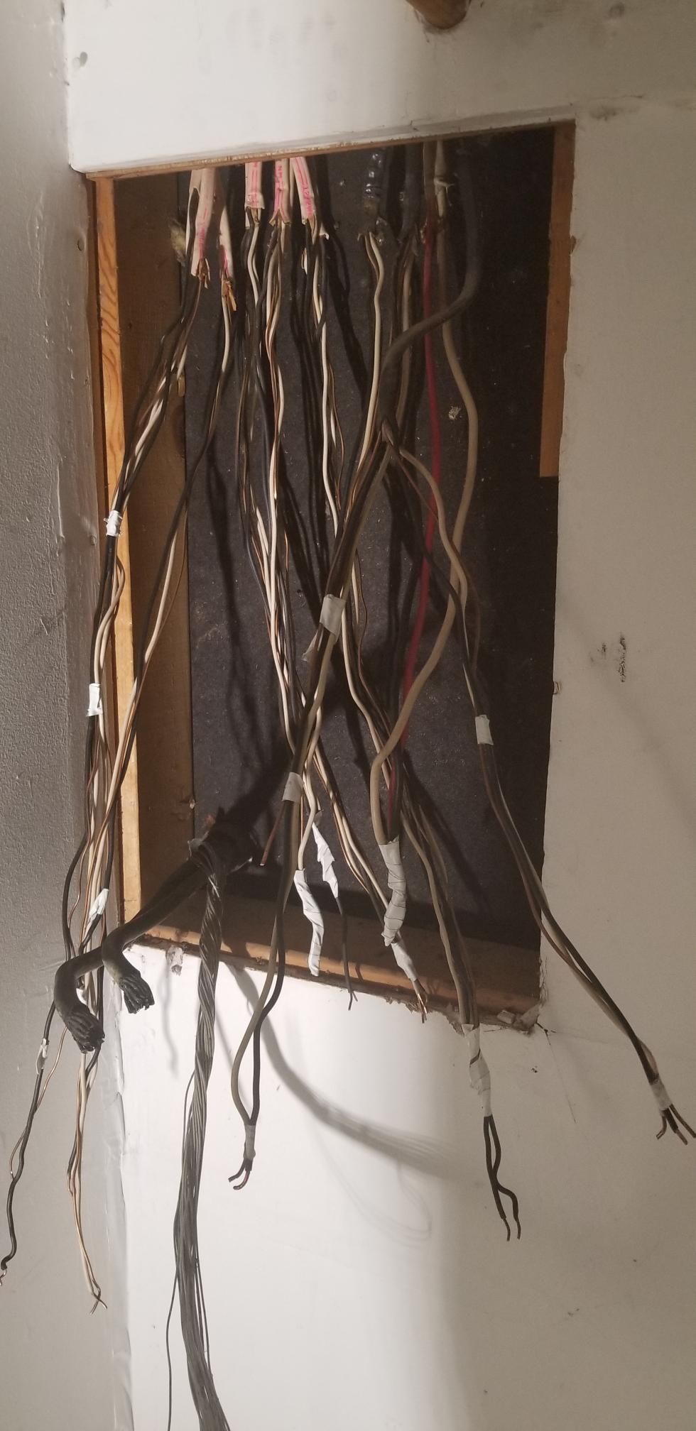Exposed bundle of electrical wires hanging from an open wall panel