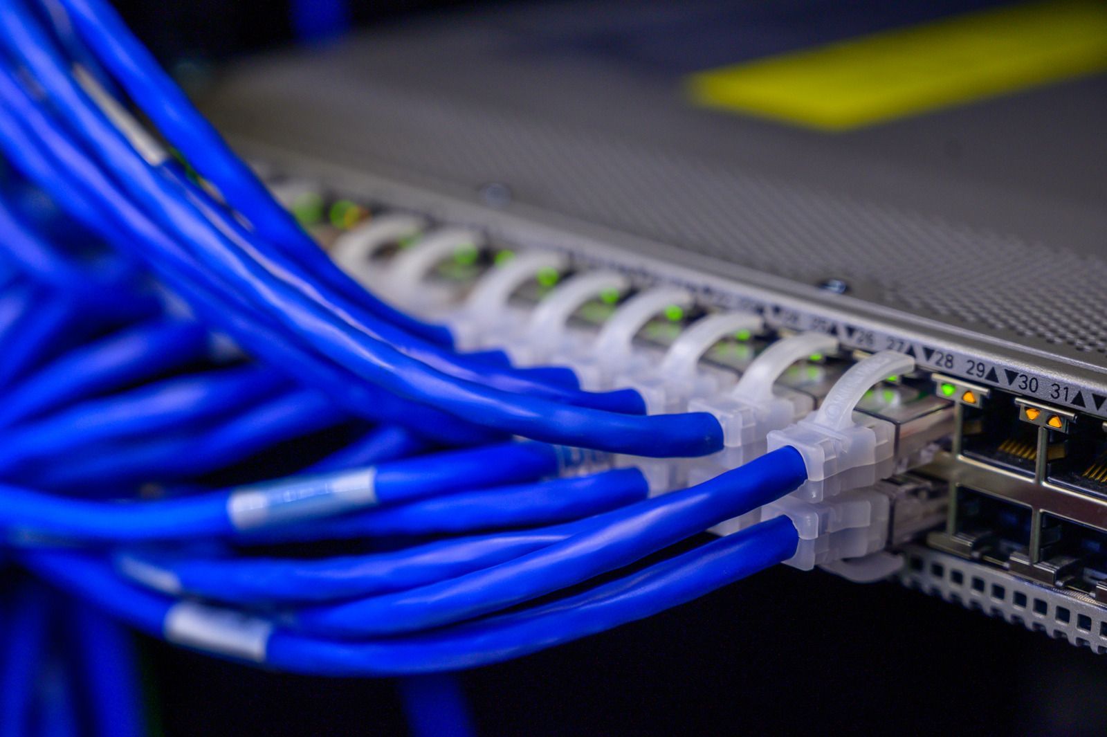 Blue Ethernet cables plugged into a network switch in a server rack
