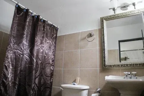 Baño con azulejos de color tostado, cortina de ducha estampada, espejo e inodoro.
