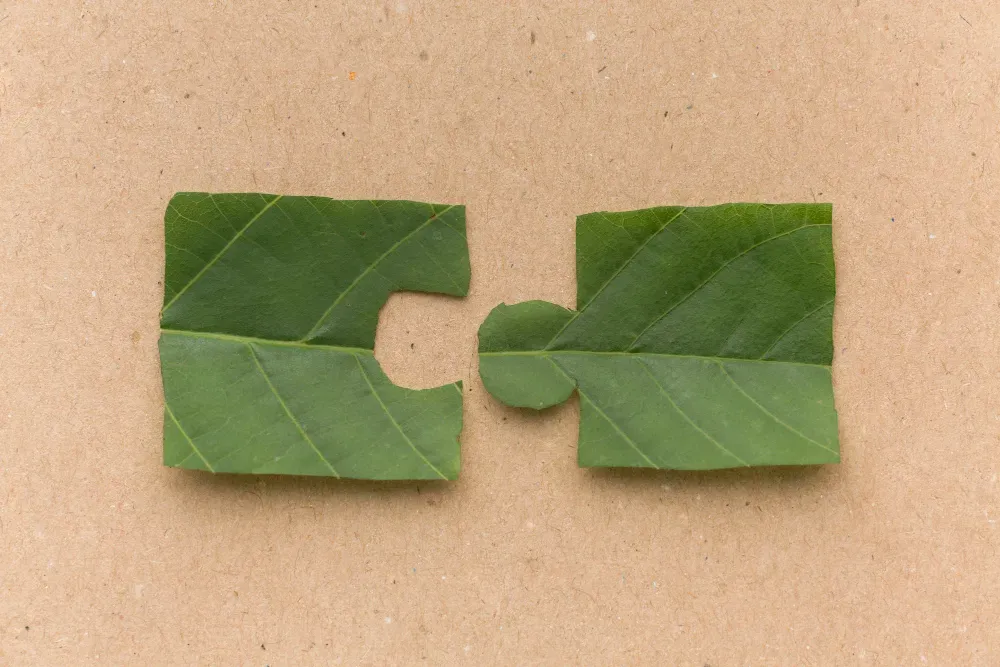 un puzzle composé de feuilles vertes sur fond marron.