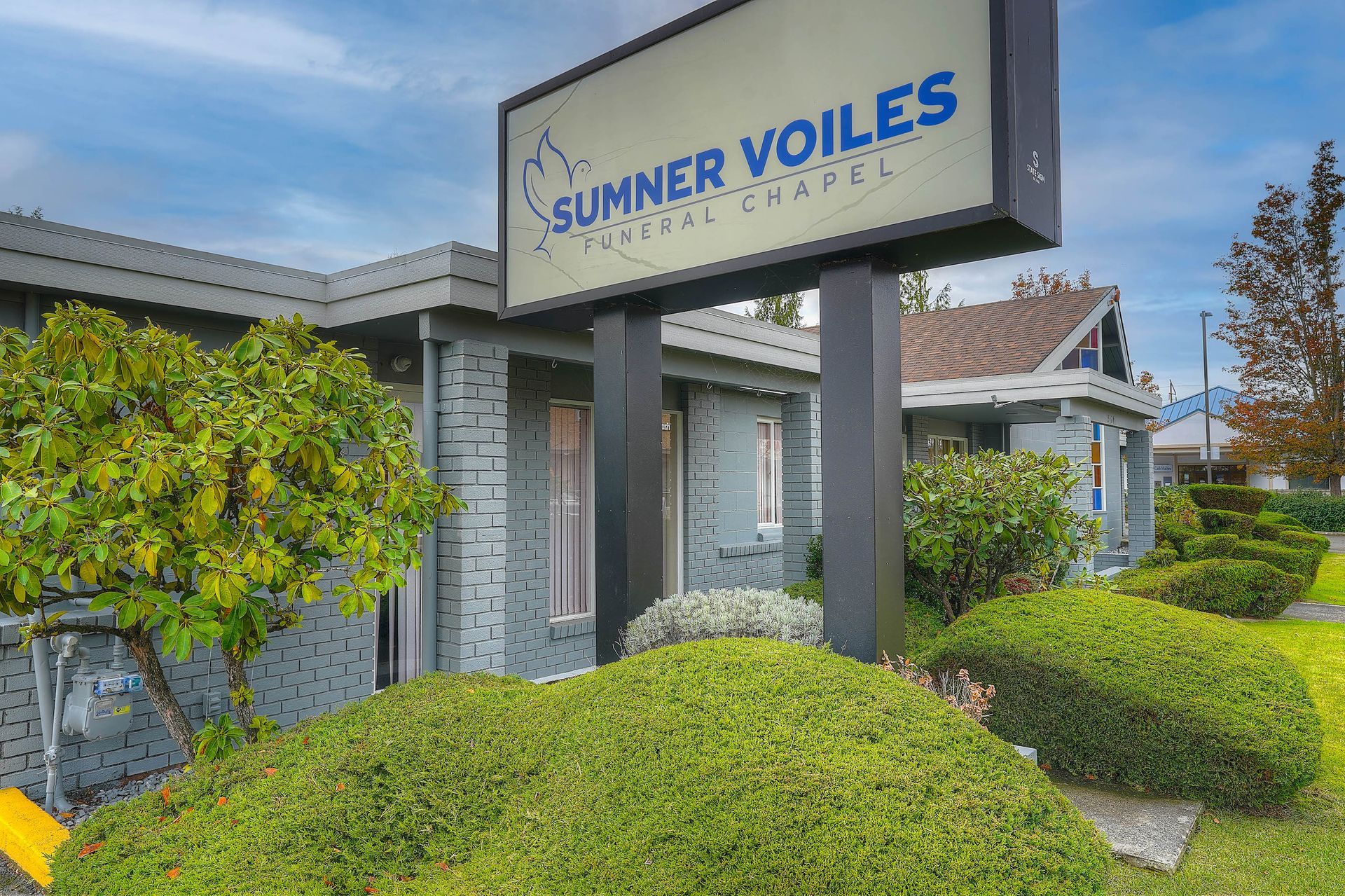 Summer Yoies Surgical & Wellness sign outside a building with trimmed bushes and trees.