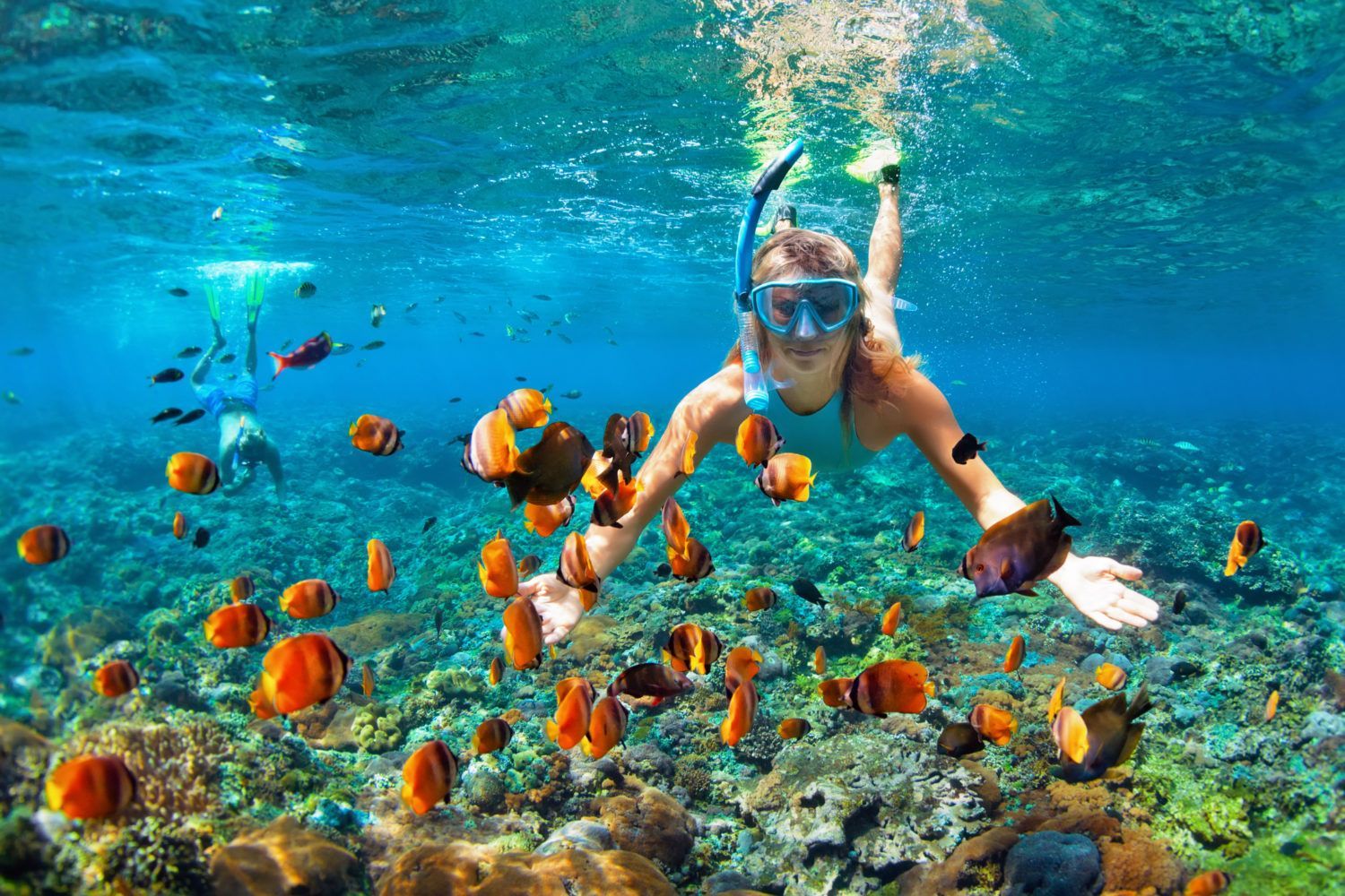 Woman snorkeling underwater, surrounded by orange and black fish near coral reef.