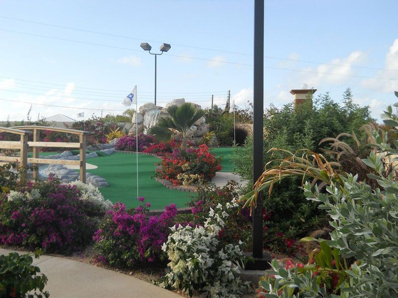 Miniature golf course with green turf, colorful flowers, and a flag.