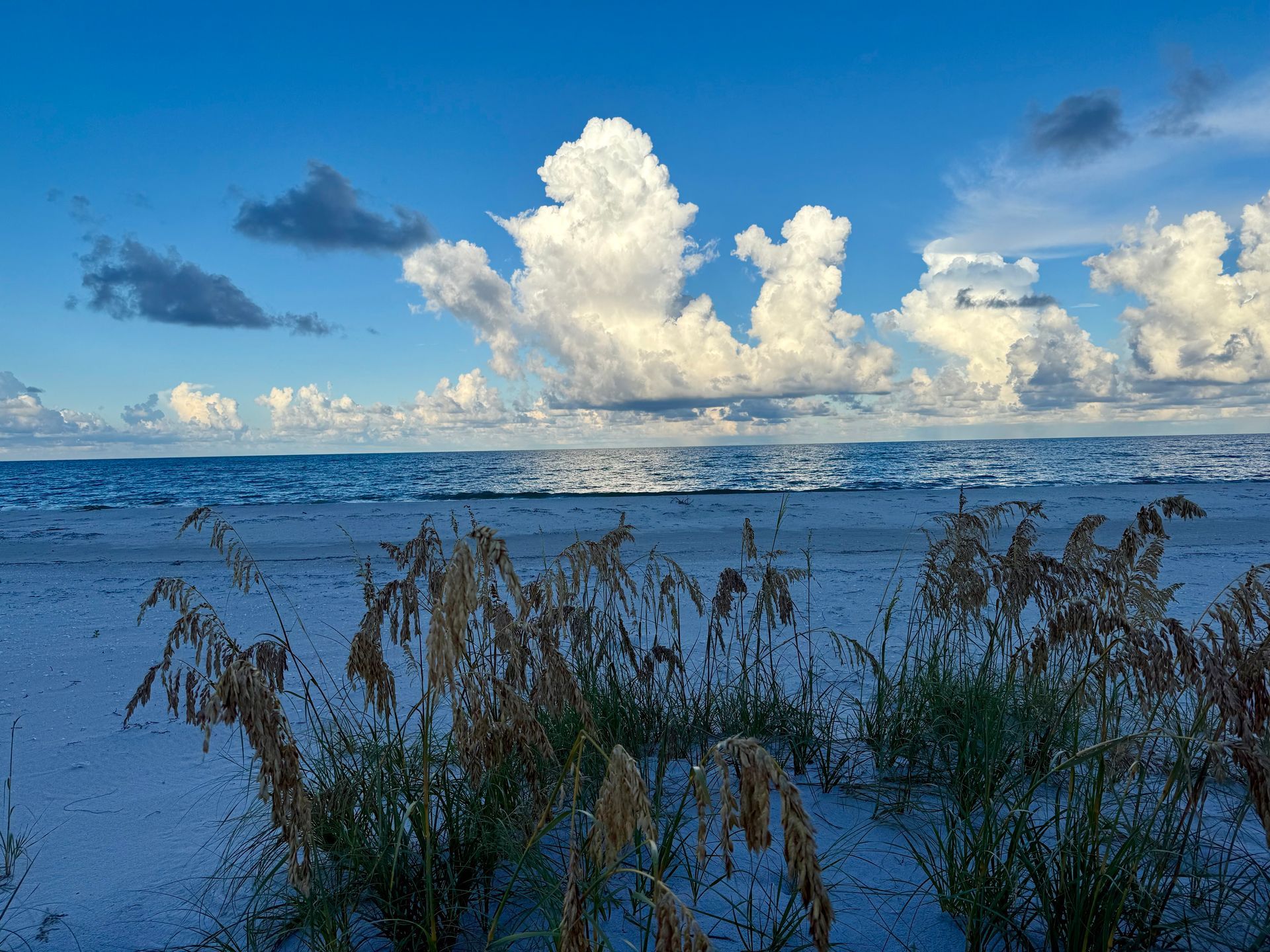 Blue ocean waves under a cloudy sky above beach grasses and sand dunes.