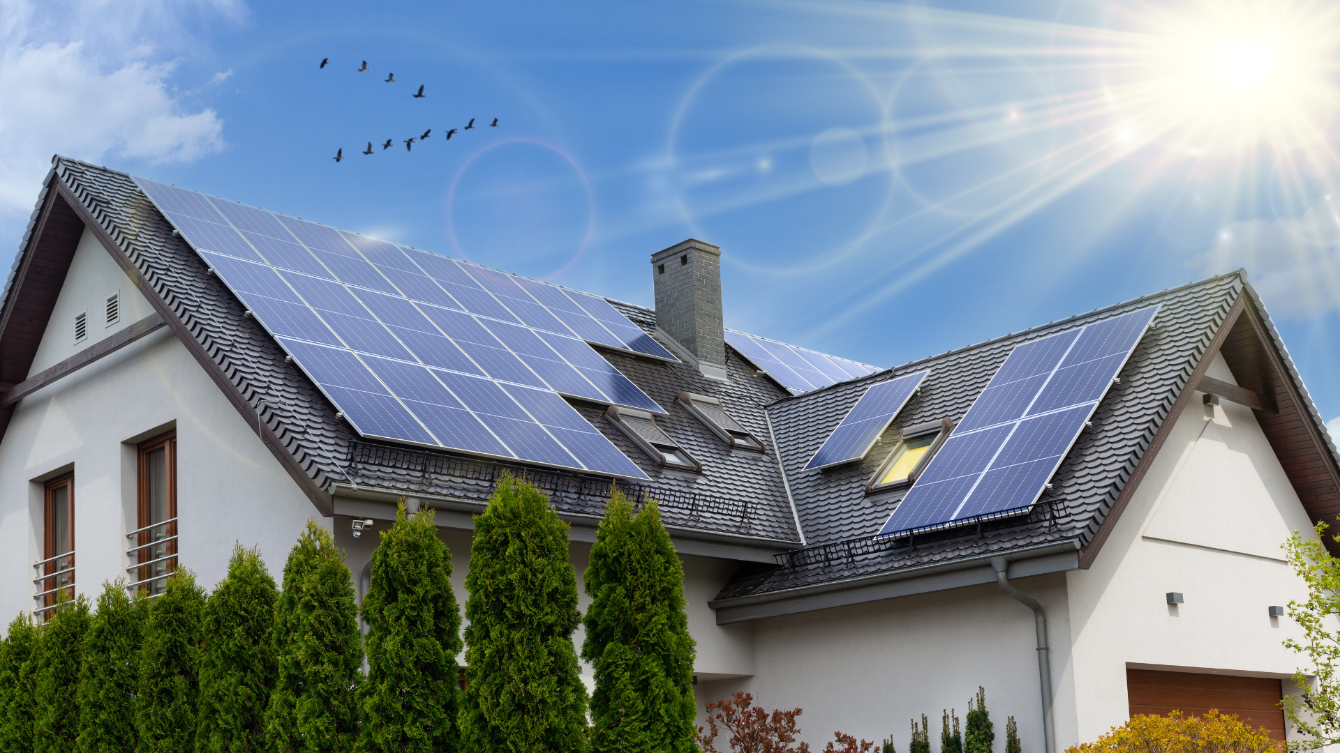 Solar panels on a residential roof, sunny day, blue sky with birds.