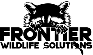 Black and white logo: raccoon peering over the word