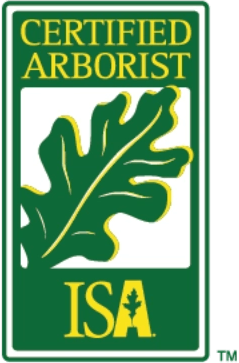 certified arborist