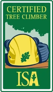 certified tree