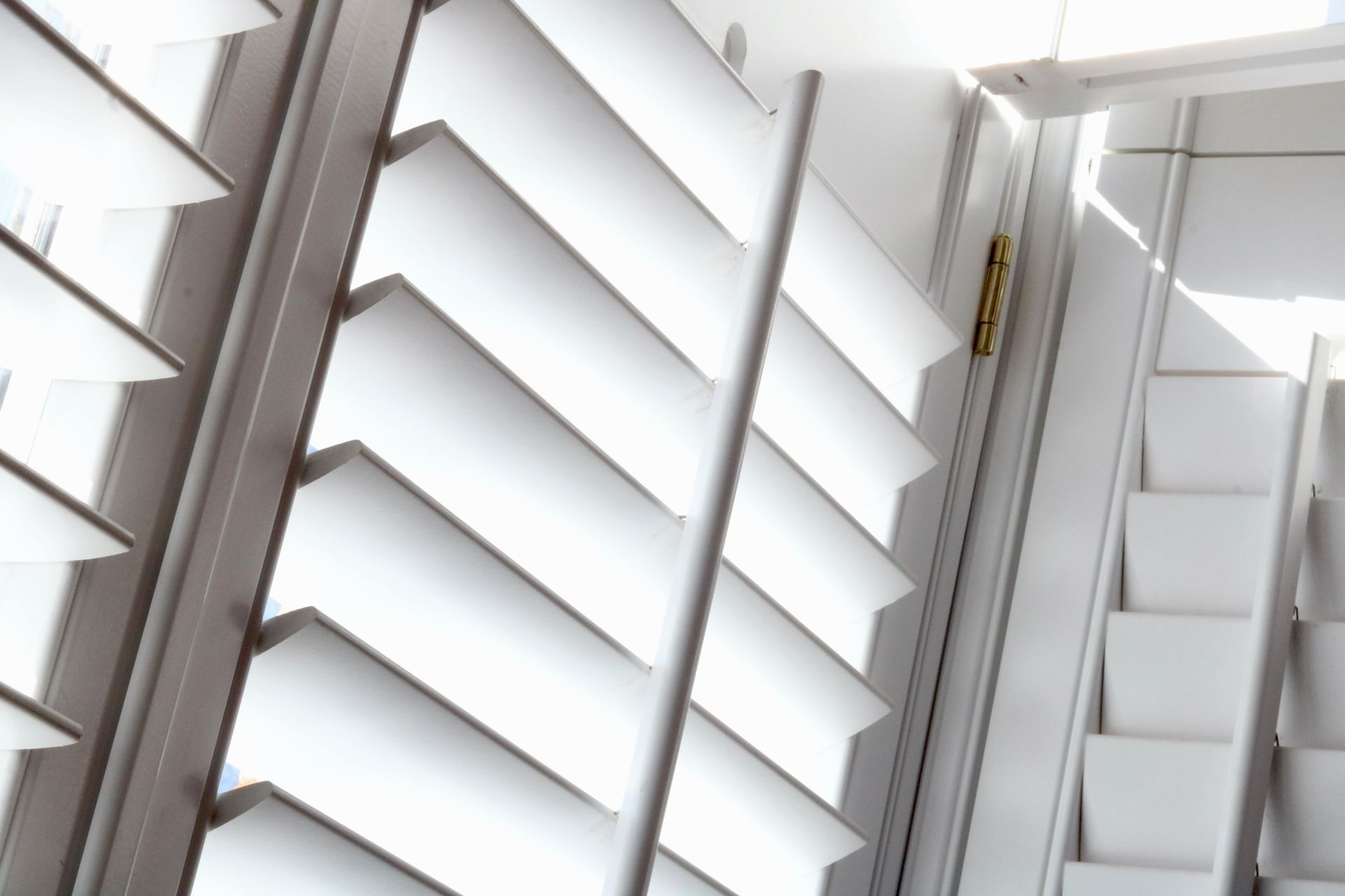 White louvered shutters on windows in bright natural light