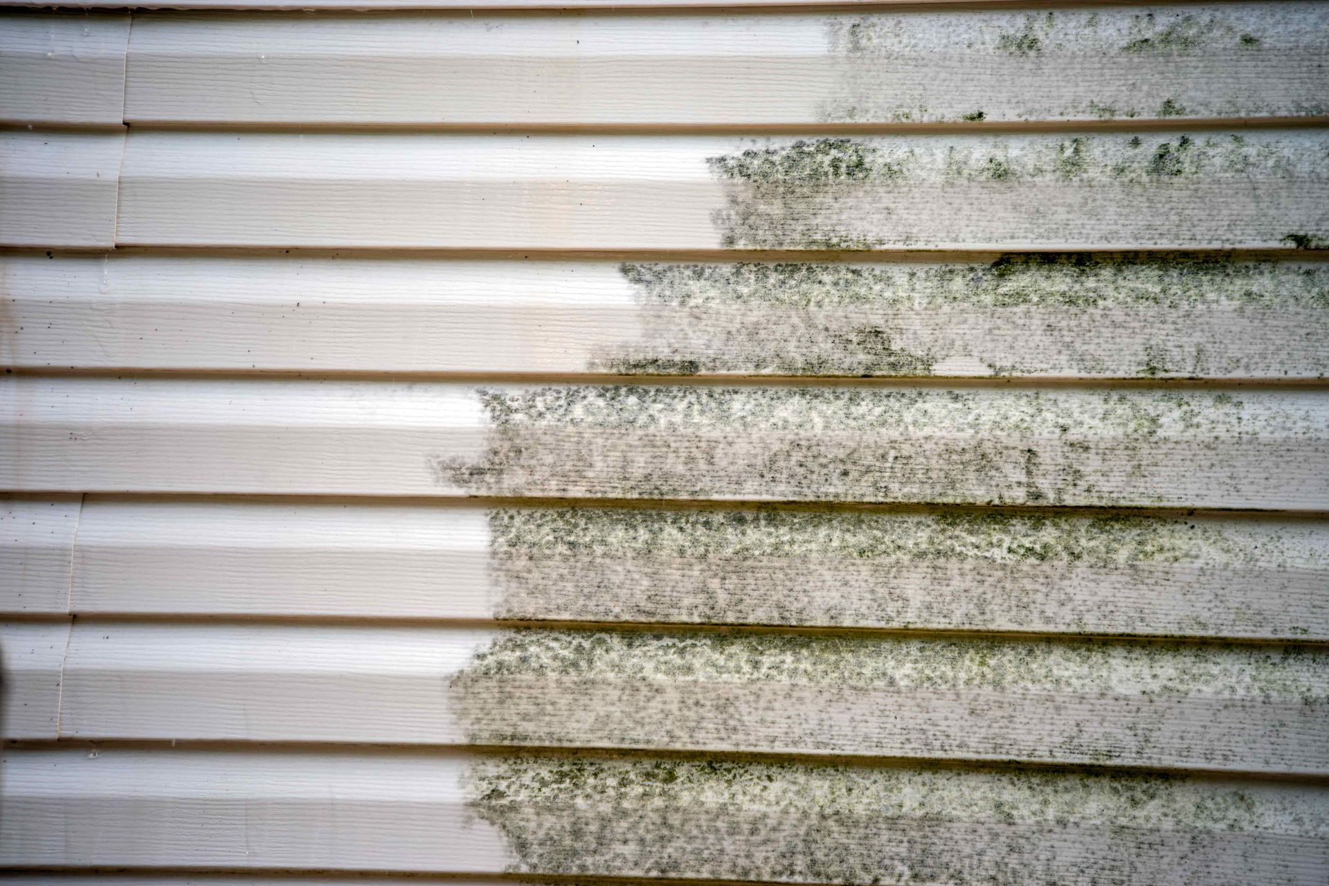 White vinyl siding with green mold and algae growth along the lower right side