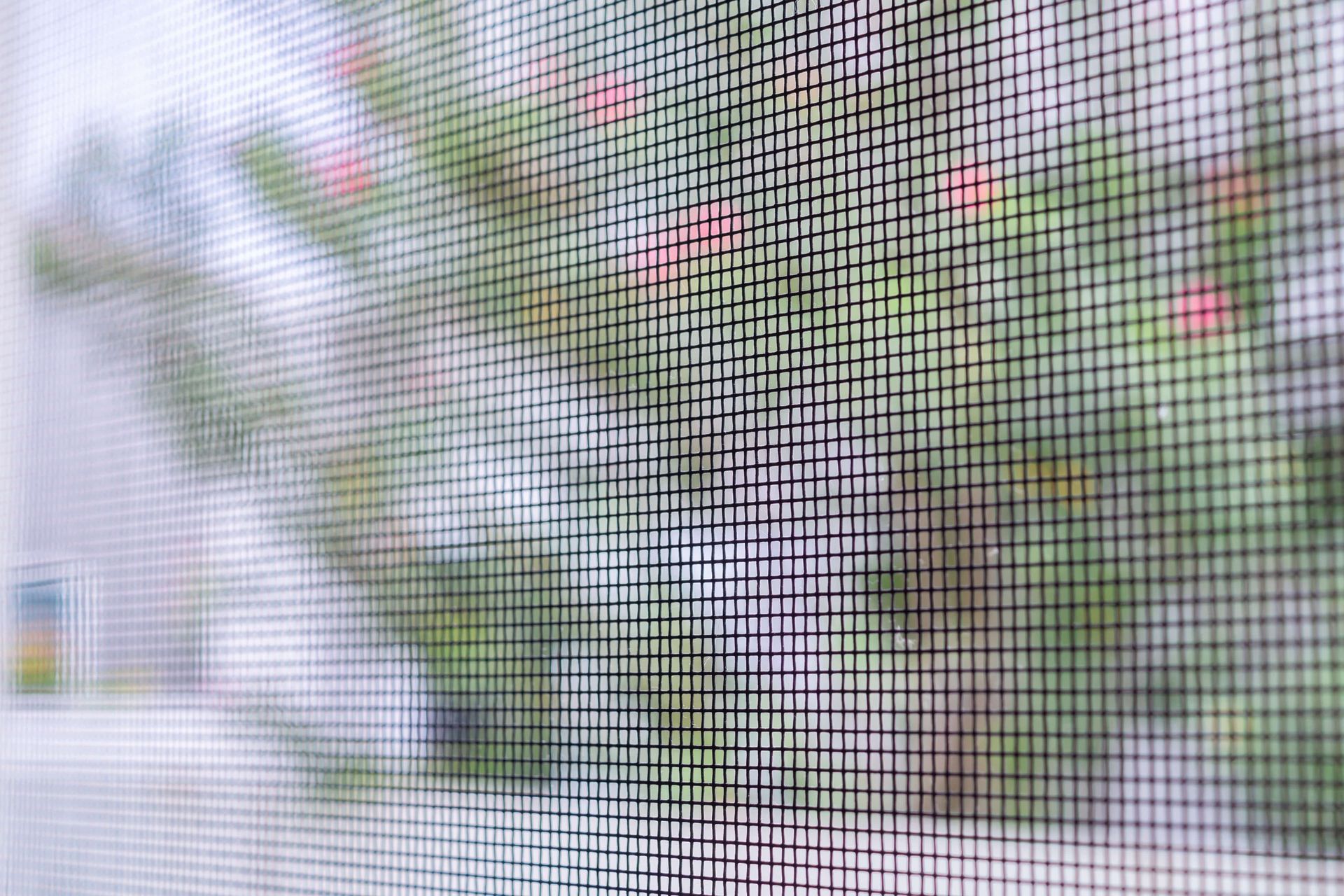 Blurred view through a window screen of a sidewalk, trees, and a white building with pink flowers nearby