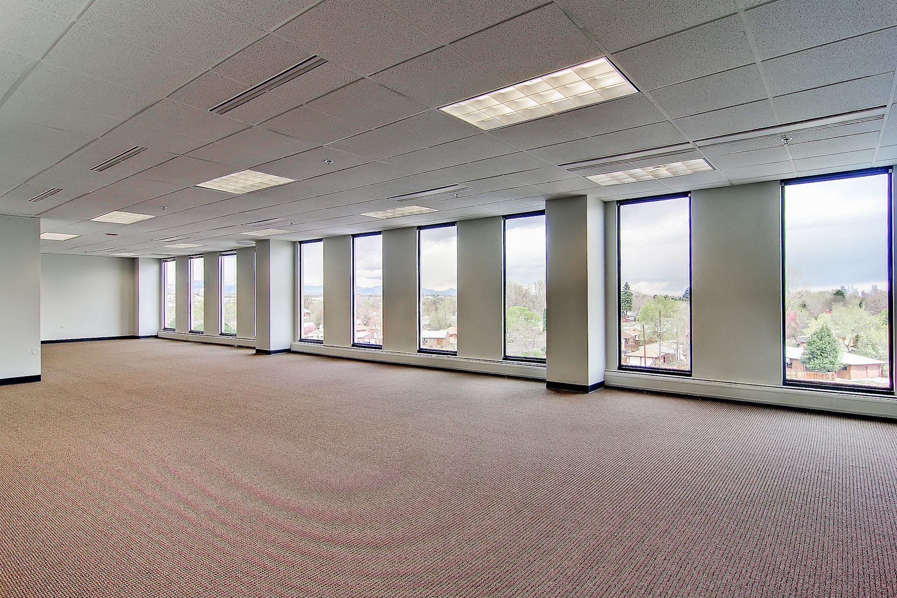 Empty office space with carpet, drop ceiling, and large windows overlooking trees