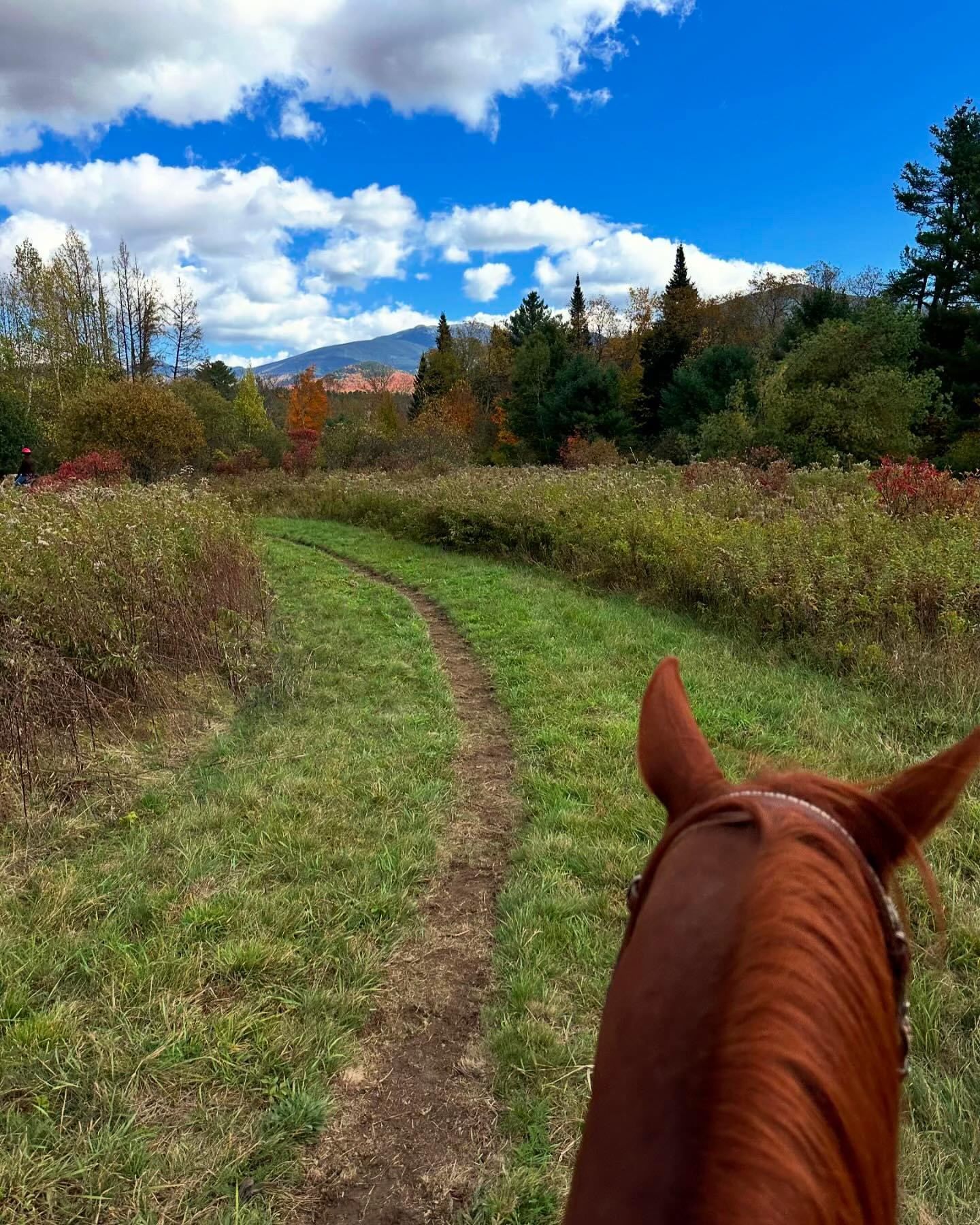 Horseback riding on a dirt path through a grassy field with autumn trees under a blue sky.