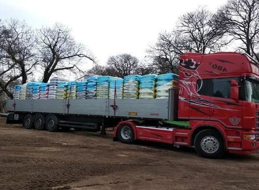 Un camion rosso con semirimorchio, carico di sacchi blu e bianchi, percorre una strada fangosa.