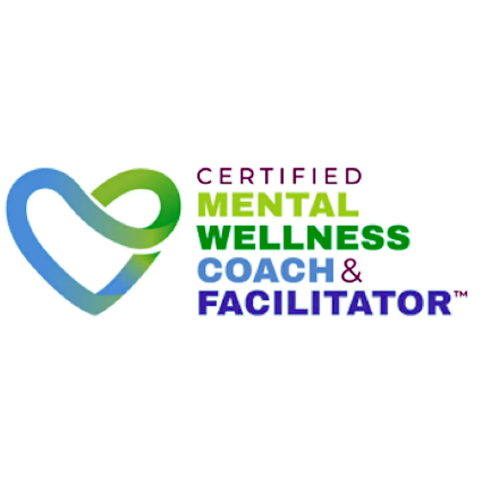 International Coaching Federation 
Associate Certified Coach