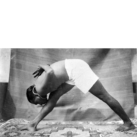 BKS_rug_Parsvottanasana
