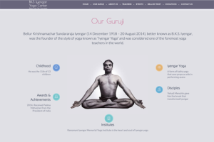 BKS Iyengar Yoga Center in Bellur 2