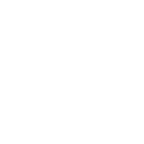 Regional Associations Icon