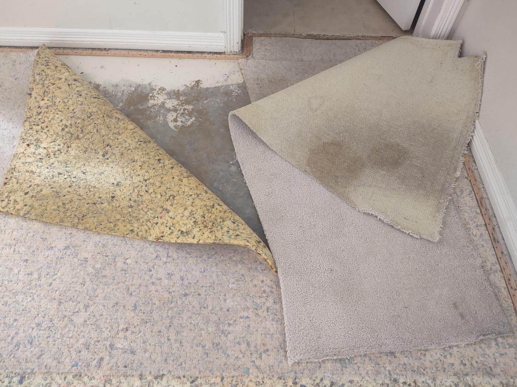 Old carpet being pulled up, showing worn backing and concrete floor.