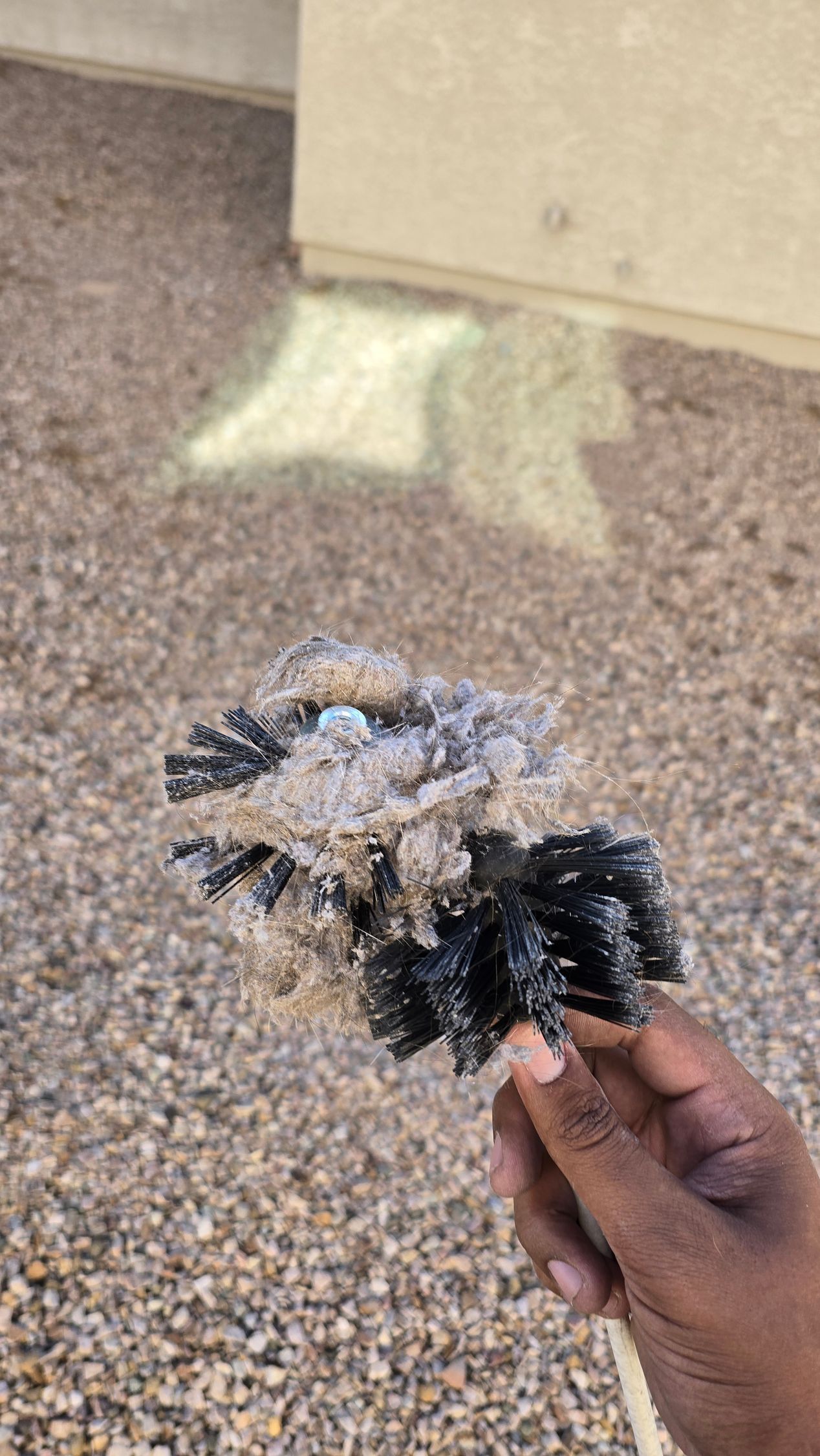 Debris removed from dryer vent in Marana, AZ