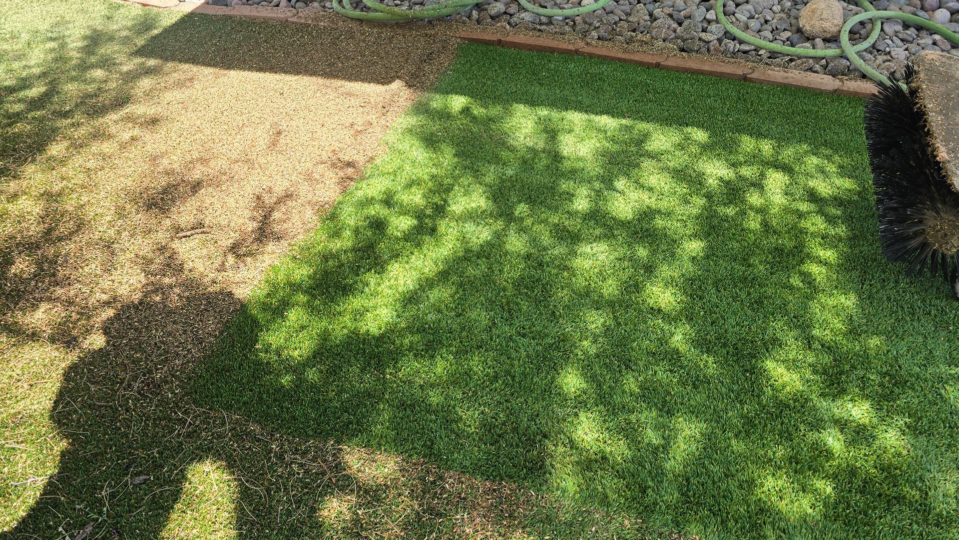 leaves in turf