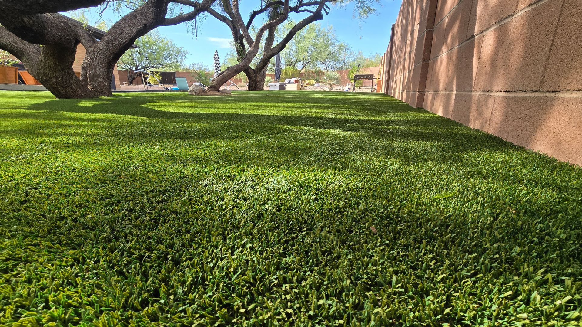 clean turf