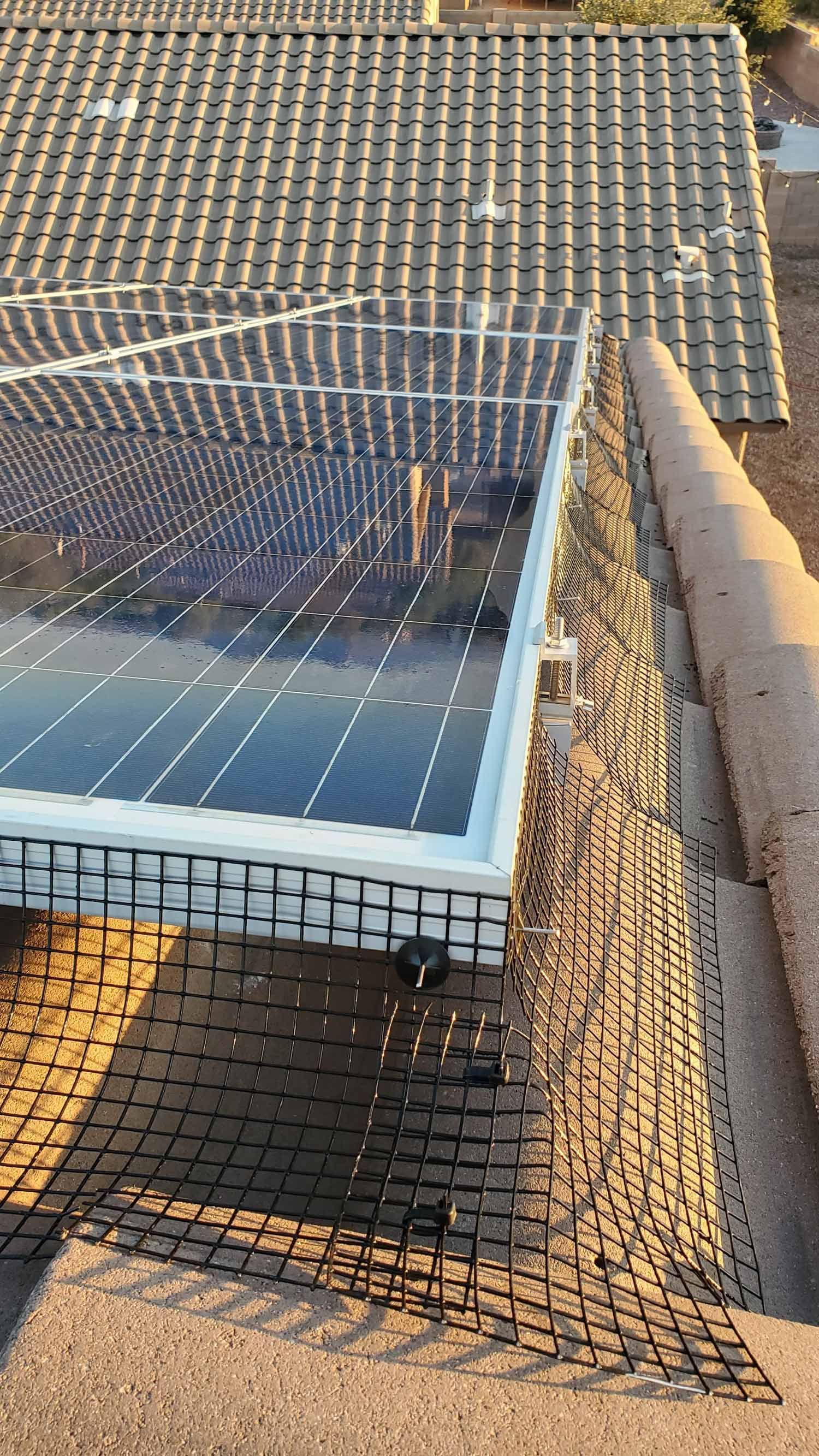 Bird Proofing