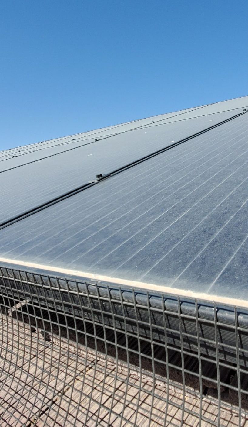 Before Dirty Solar Panel Cleaning with Bird Proofing