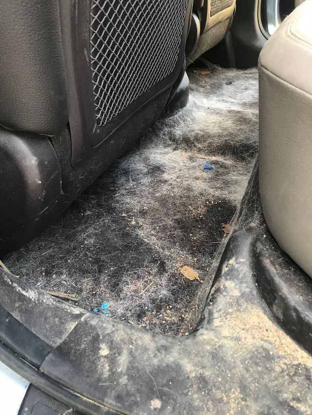 Car Detailing