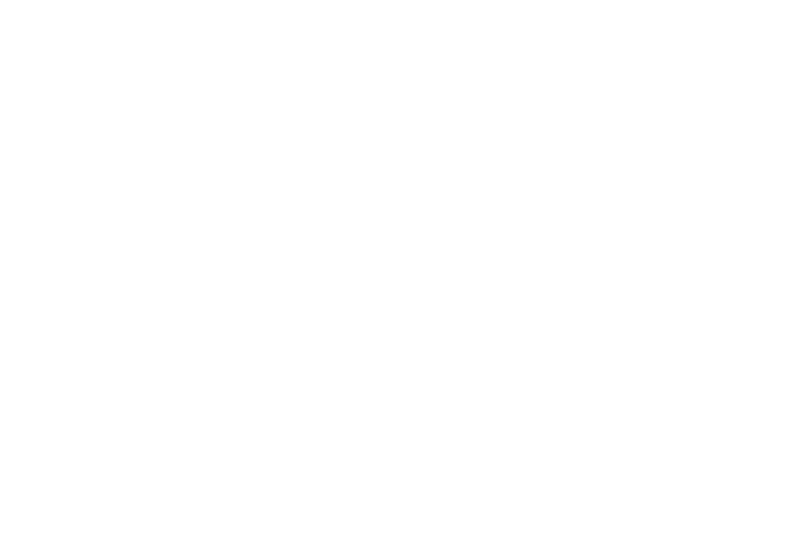 Nexen Logo