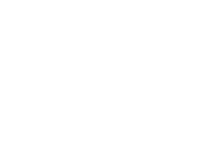 Nexen Logo