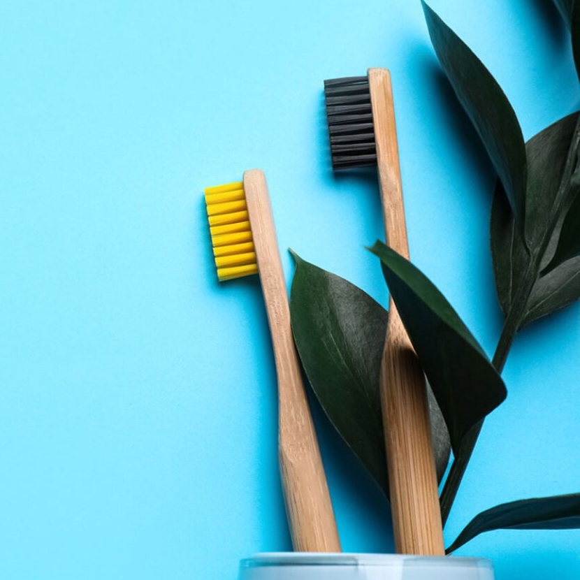 image of toothbrushes and leaf