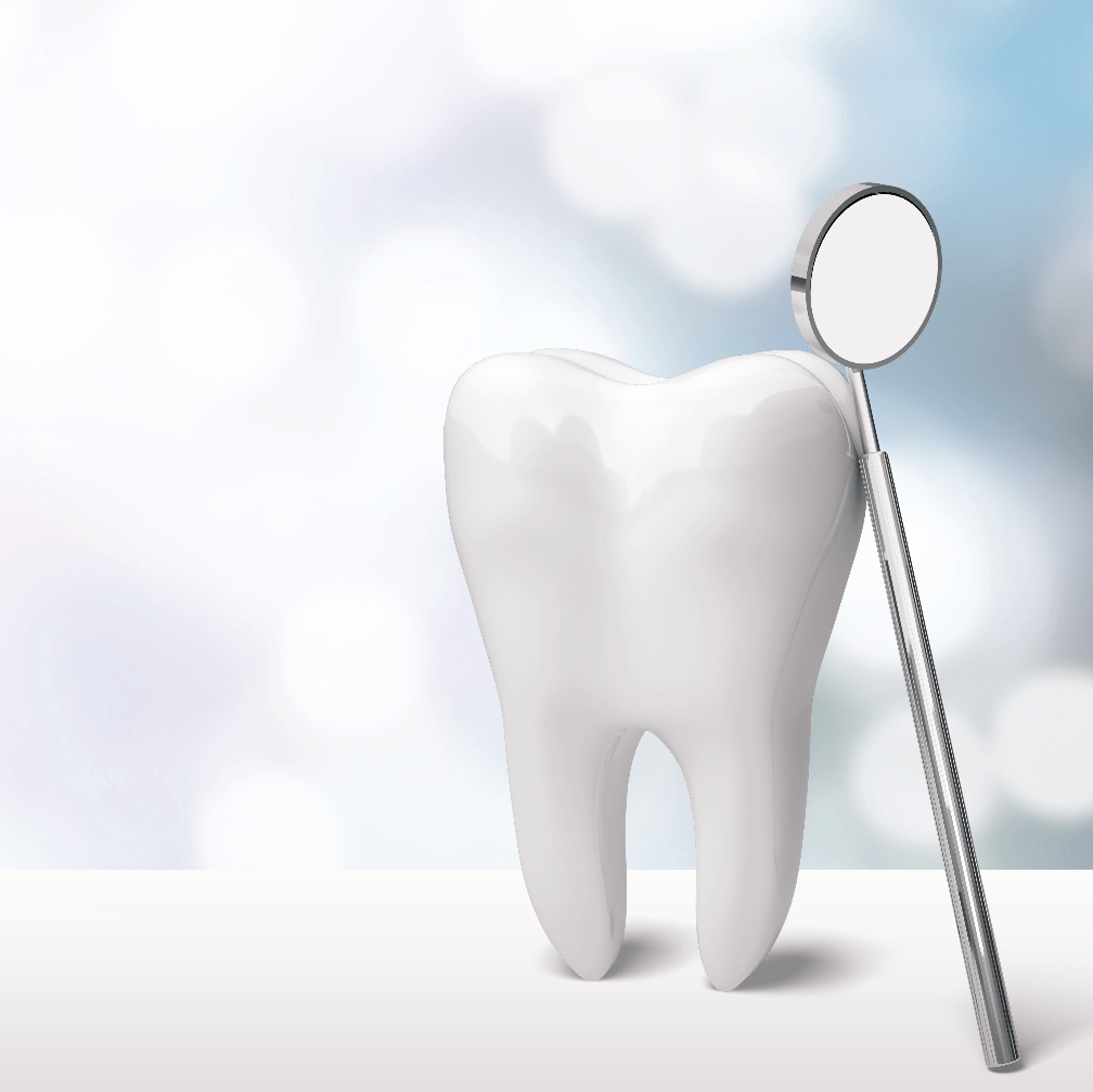 image of toothbrushes and leaf