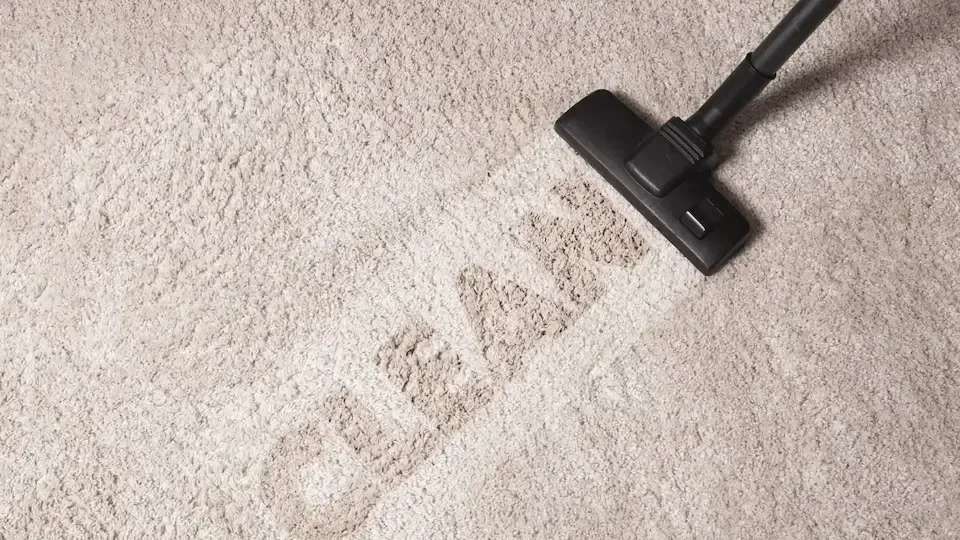 A vacuum cleaner is cleaning a carpet with the word clean written on it.