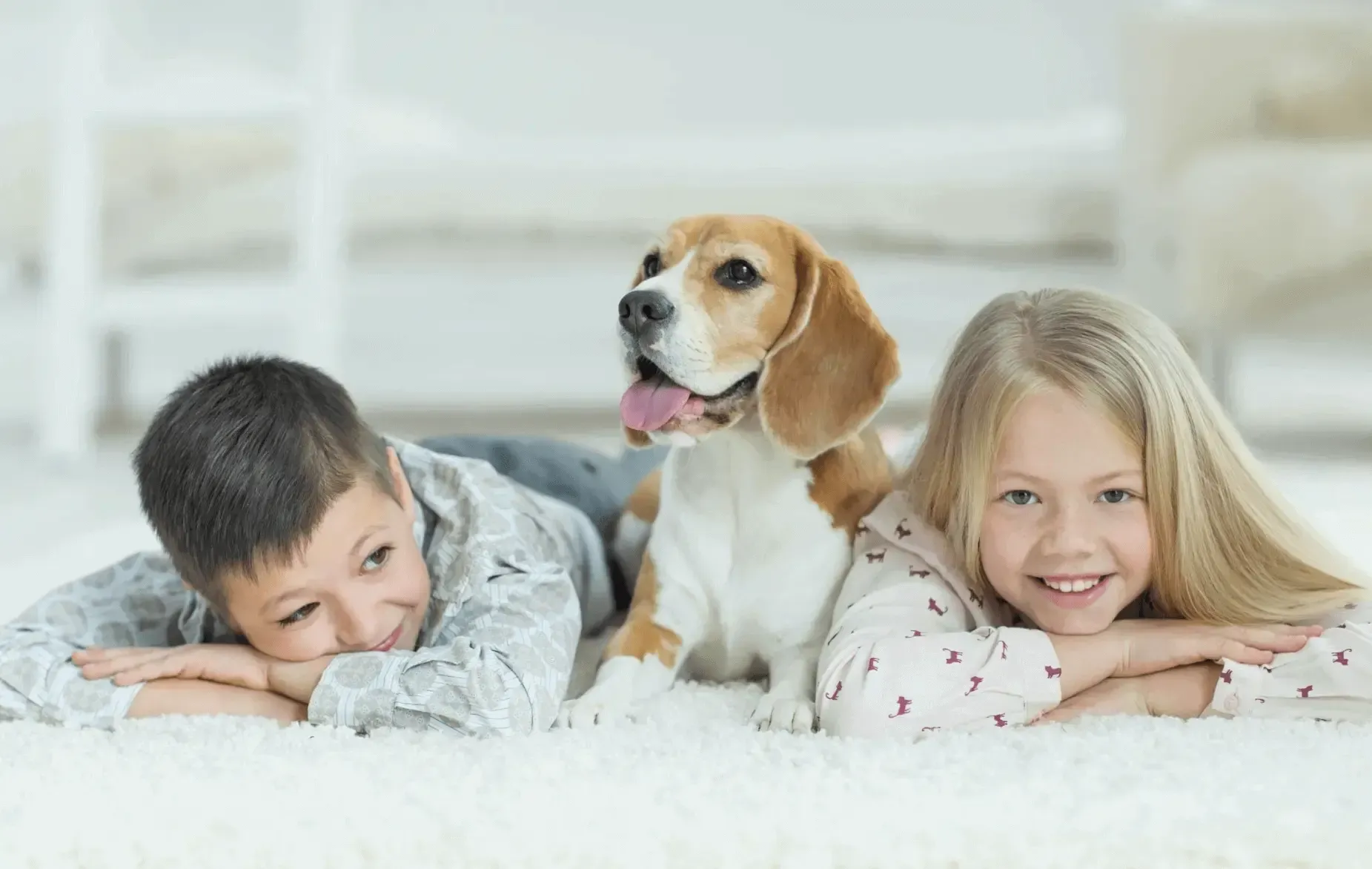 Children on a clean carpet with their dog
