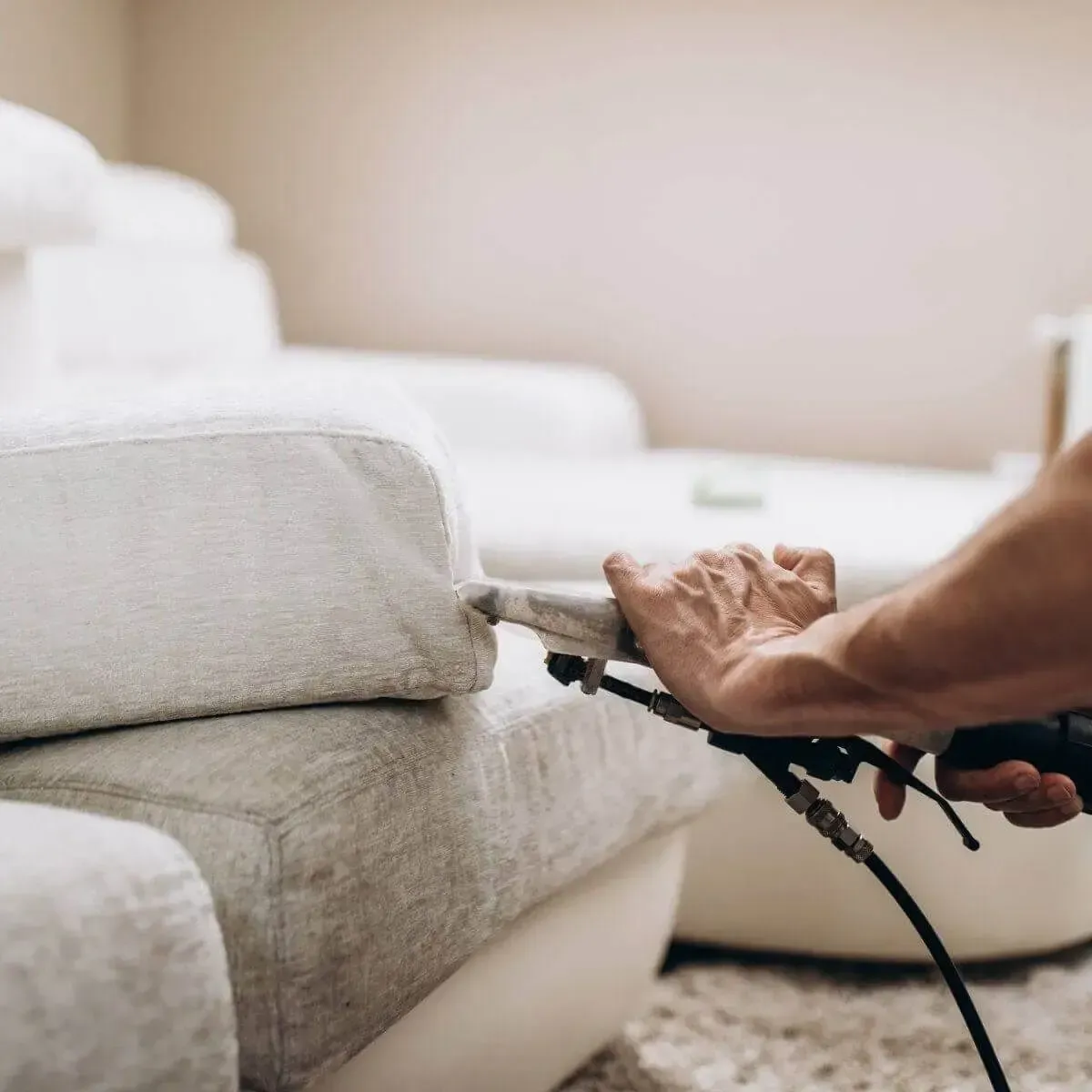 Professional couch cleaning