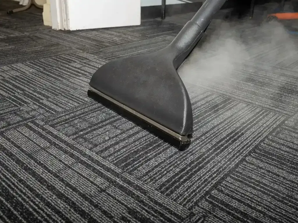 Professional Commerical Carpet Cleaning an Office Carpet