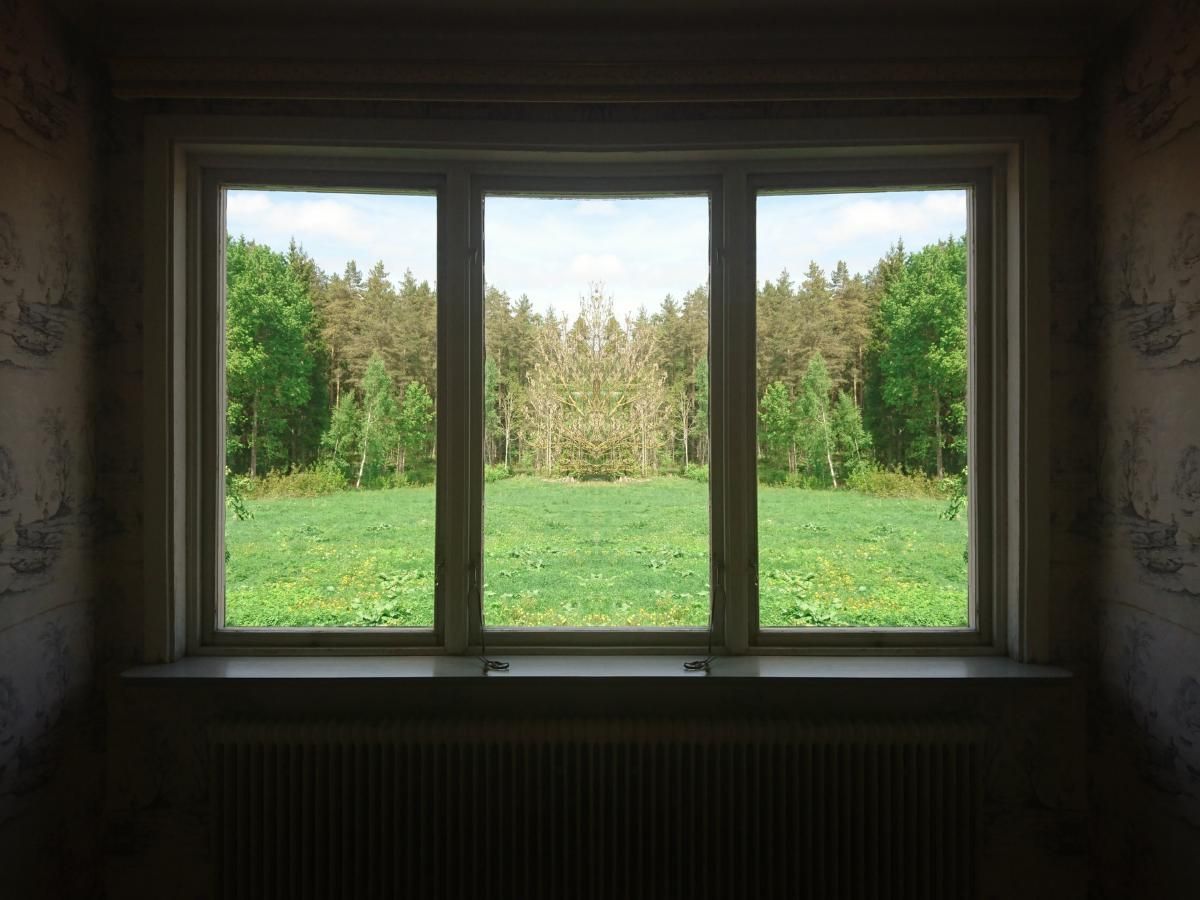Window view of a green meadow and trees, framed by a dark interior room