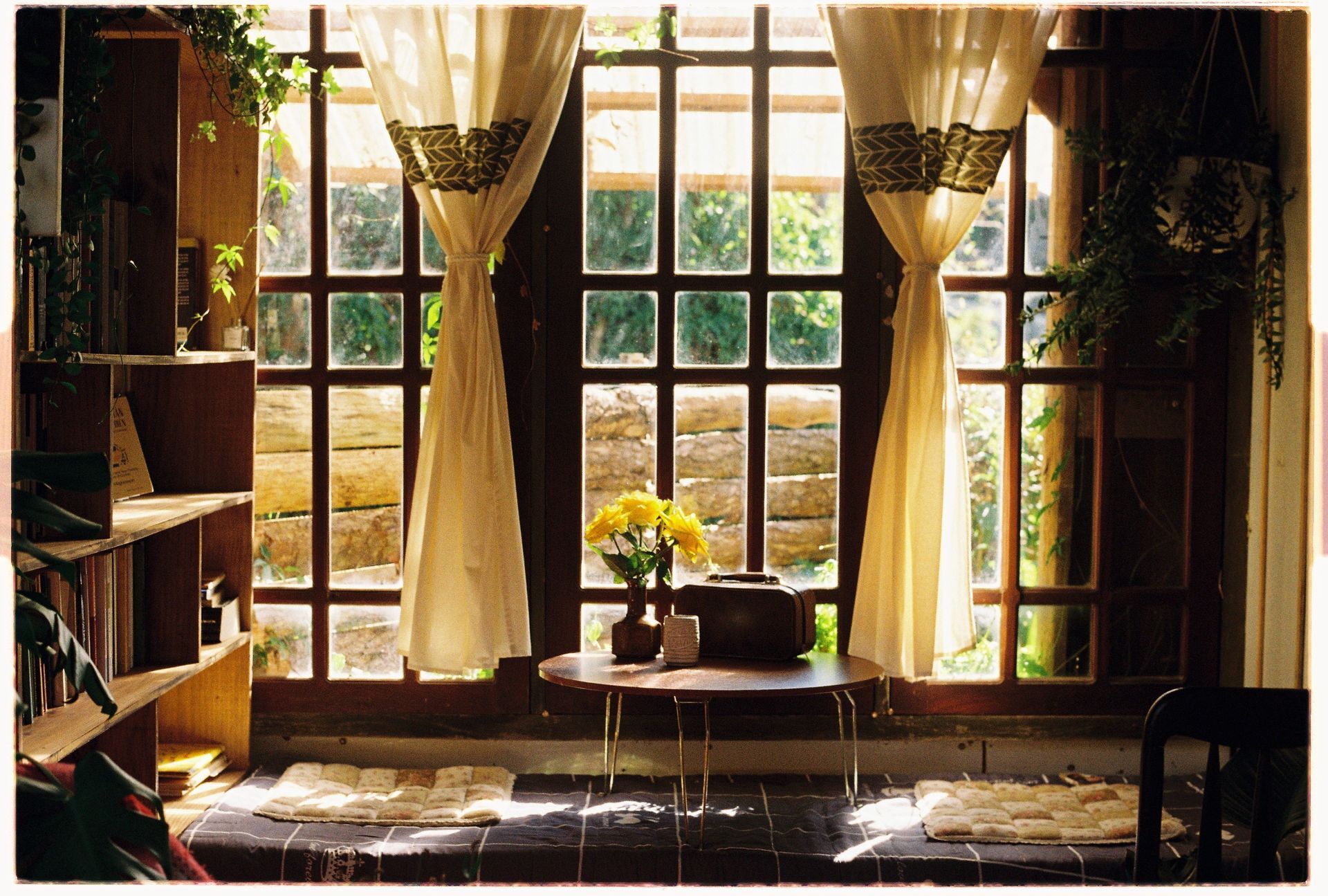 View through a window to a porch and grassy yard with trees and a road beyond